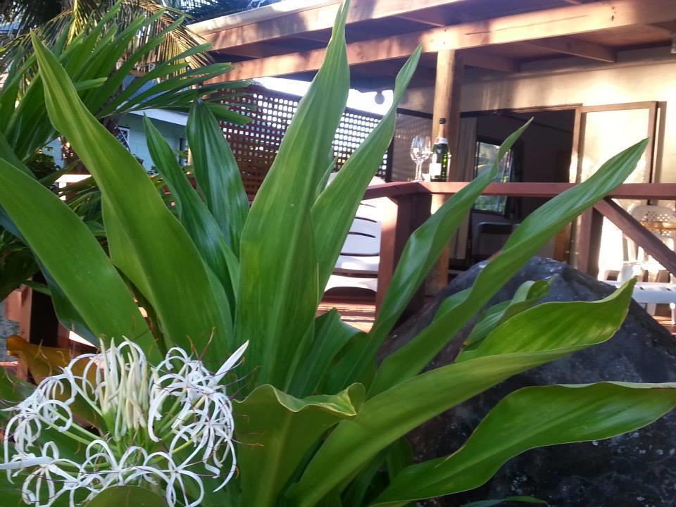 Sunset Palms Rarotonga 호텔 외부 사진